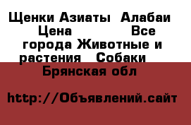 Щенки Азиаты (Алабаи) › Цена ­ 20 000 - Все города Животные и растения » Собаки   . Брянская обл.